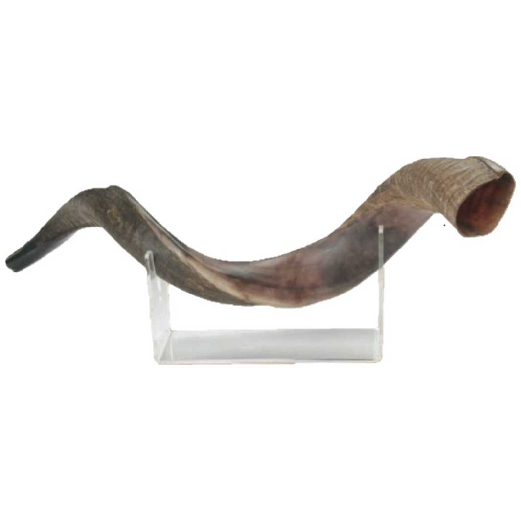Basic Acrylic Shofar Stand