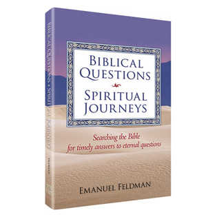 Biblical Questions, Spiritual Journeys - Hardcover
