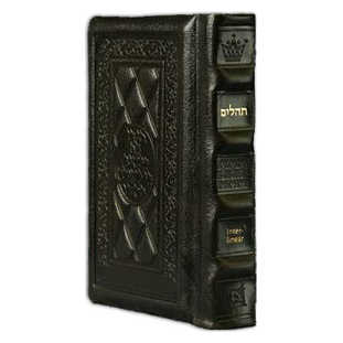 Interlinear Tehillim /psalms Full Size - Dark Brown Leather