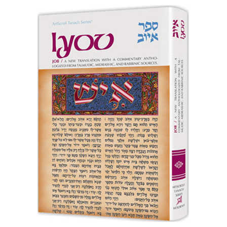 Iyov/job - Hardcover