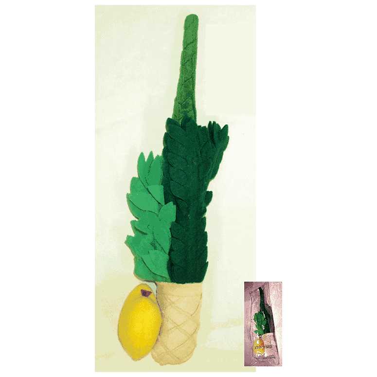 Lulav & Etrog Plush Play Set -Perfect For Sukkot