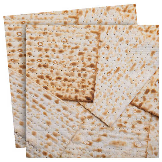 Matzah Design Passover Napkins - 20 Pack -Perfect For Passover