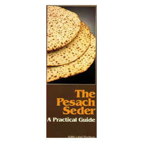 The Pesach Seder Guide [Ncsy Publ] Paperback -Perfect For Passover