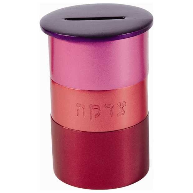 Pink Anodized Aluminum Tzedakah Box