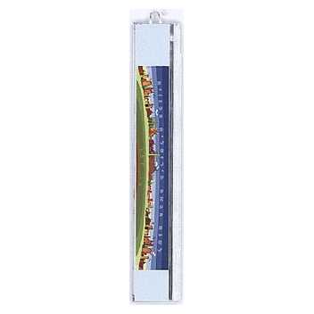 Plastic Lulav Holder - Jerusalem Design -Perfect For Sukkot