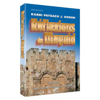Reflections Of The Maggid - French Edition