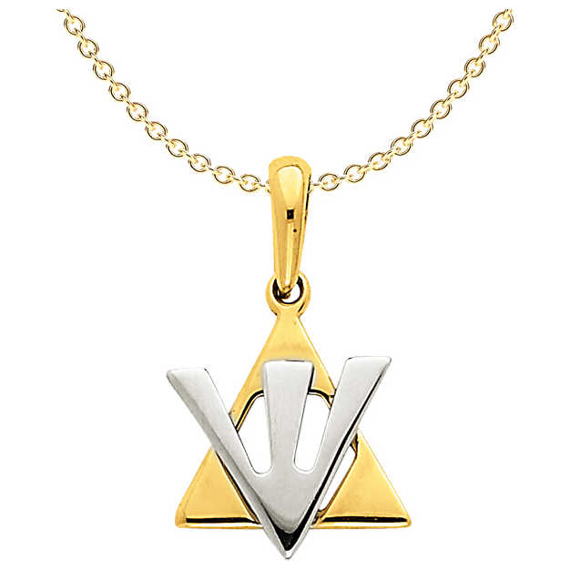 14K Two-Tone Gold Star Of David Shin Pendant