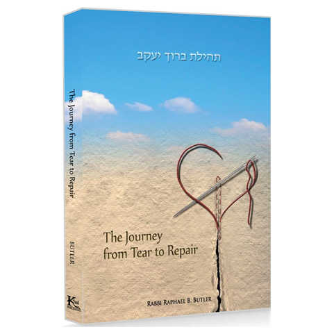 The Journey From Tear To Repair - Paperback