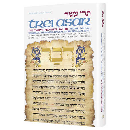 Trei Asar Ii / Twelve Prophets Ii - Hardcover