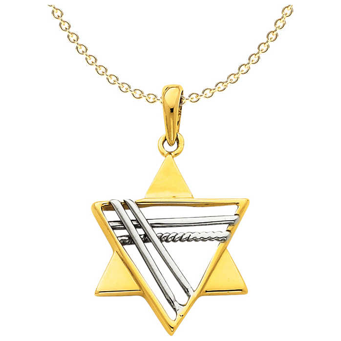 14K Two-Tone Gold Deluxe Star Of David Pendant